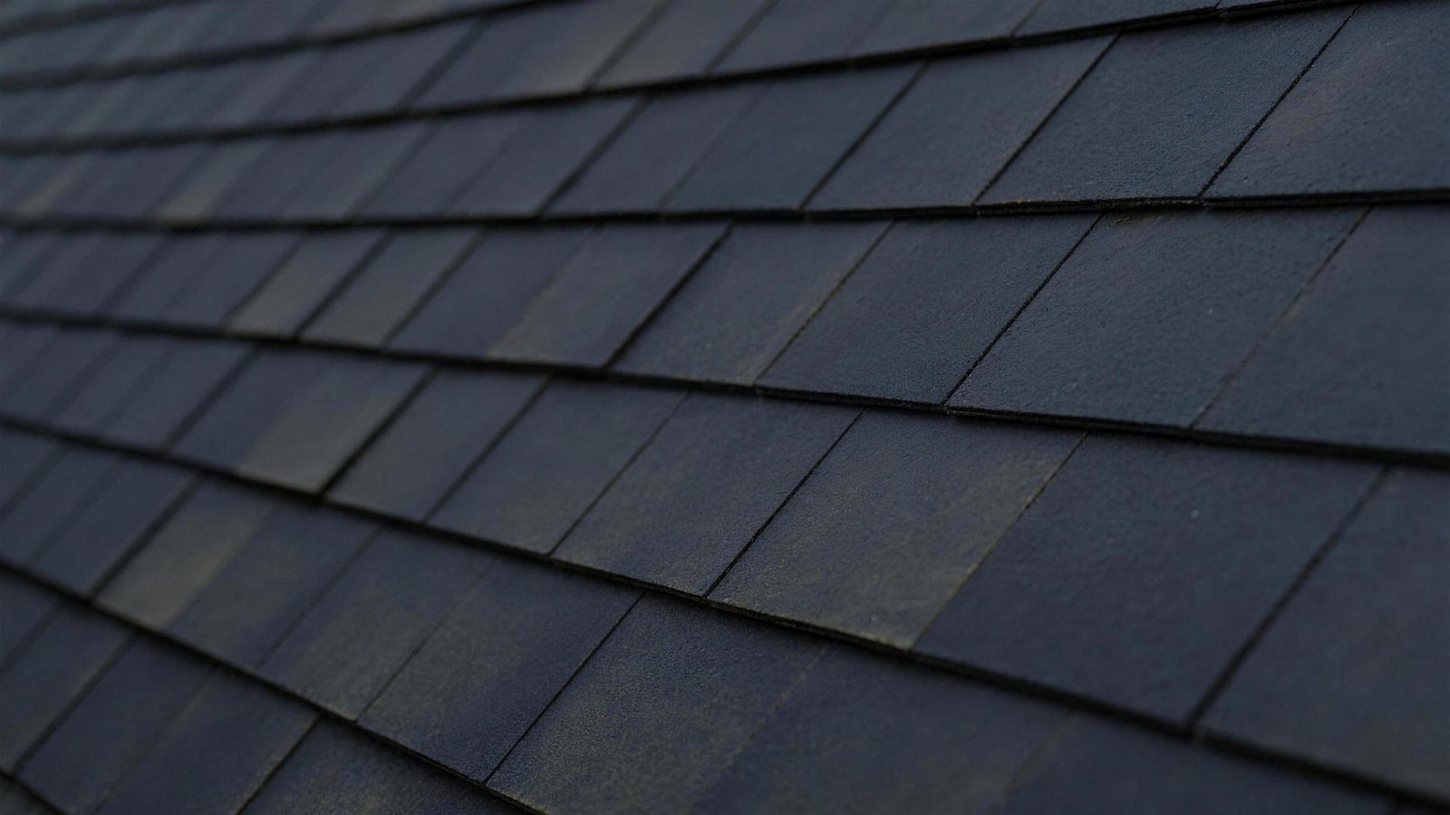 Close-up of weathered slate-gray asphalt shingles in soft overcast light